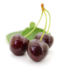 Sweet cherries with stem and leaves.