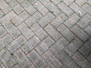 Grey stone block paving