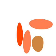 An abstract isolated retro boho oval shape design element.