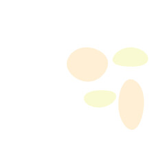 An abstract isolated retro boho oval shape design element.