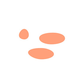 An abstract isolated retro boho oval shape design element.