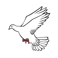 鳩線画1ai