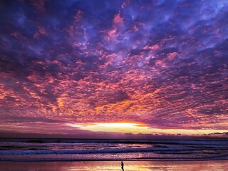 Obraz premium the surfer is running along the beach at sunset while the sun goes down