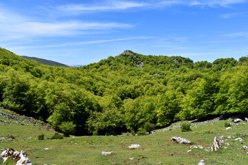 Beech forests in the Itxina karst massif. Gorbeia (or Gorbea) Natural Park. Basque Country. Spain