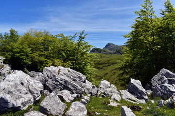 Mount Aldamin (1373 m) from Itxina. Gorbeia (or Gorbea) Natural Park. Basque Country. Spain