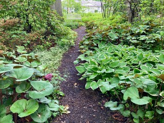 path in the garden 
