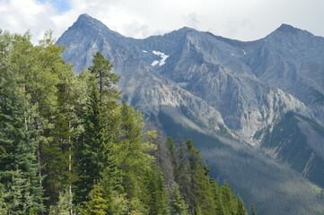 mountains and trees