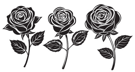 set of black and white Rose Minimalist and Simple Silhouette Vector illustration