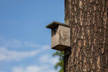 A small wooden birdhouse attached to a tree. The background is blue sky