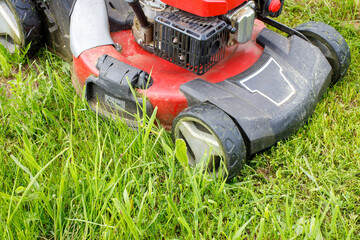 A gasoline lawn mower mows the lawn