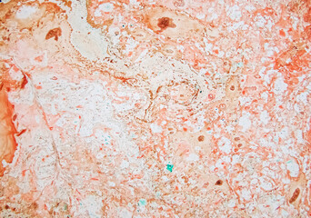    Play of oil paint in water solution as green abstract background                                         