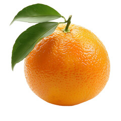 orange isolated on transparent background