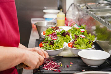 A woman cook prepares dishes from vegetables and salads with herbs.