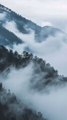 Obraz premium Trees on a mountain covered in fog and low clouds