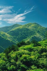 Fototapeta premium A serene view of a mountain range covered in trees and bushes, ideal for outdoor enthusiasts or nature photography