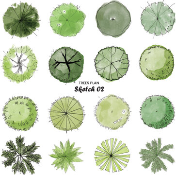 Trees Plan Sketch 02