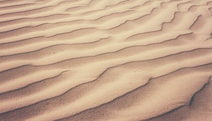 Desert Landscape