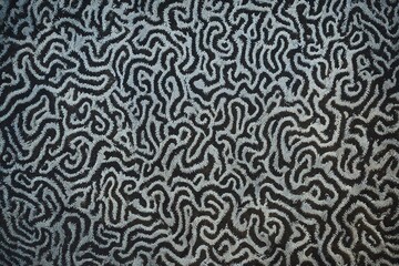 seamless texture of a skin