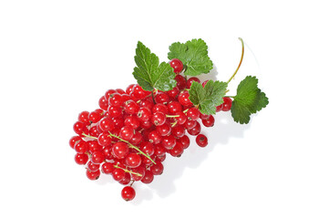 Red currant berries with leaf isolated on white background.