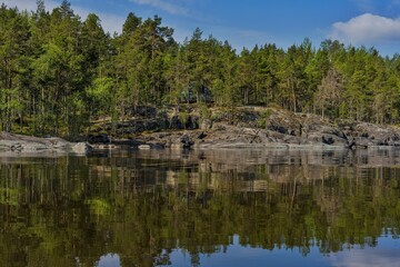 Ladoga skerries. Stone shore overgrown with pine forest. Northern nature of Karelia.