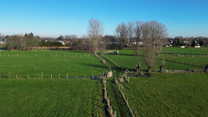 Upwards Shot Field Pathway Walkway Countryside Green Sunshine Blue Sky Trees Winter