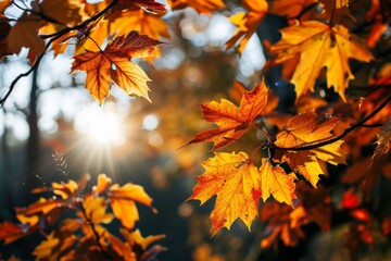 Autumn leaves , Orange maple leaves on the ground with a bokeh effect defocused background, AI generated