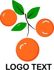 modern fresh orange fruit logo design