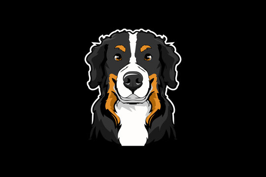 Berner Images – Browse 23,507 Stock Photos, Vectors, and Video | Adobe ...
