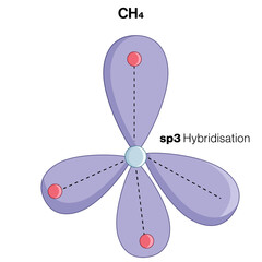 Detailed SP3 Hybridization Structure Illustration, Scientific Vector Art, White Background, Molecular Geometry, Hybrid Orbitals, Chemistry Diagram, Chemical Bonding.