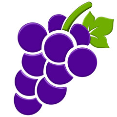 fruits grapes logo design template. grapes logo vector illustration. fruits logo.
