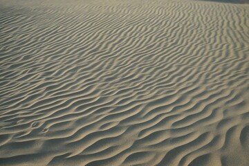 Obraz premium ripples in the sand