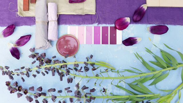 summer floral colour palette, mood board for interior design and decoration