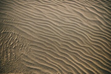 Obraz premium sand ripples in the sand
