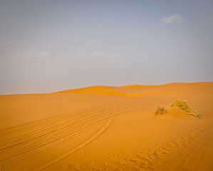 Beautiful sand dunes with car tracks in the Sahara desert, Merzouga, Morocco, North Africa