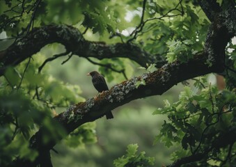 bird perched on the branch of an oak tree, surrounded by green leaves during springtime Generative AI