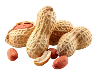 peanuts on png background