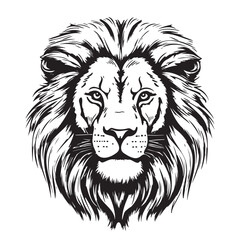Lion portrait lion head sketch © BigJoy