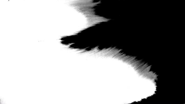ink transition on white screen, drop texture, ink transition splatter blot , painting animation background animation, luma effect Ink drops stream splatter stain leak spread flow scatter over screen	
