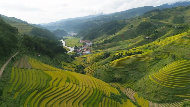 Aerial top view of fresh paddy rice terraces, green agricultural fields in countryside or rural area of Mu Cang Chai, mountain hills valley in Asia, Vietnam. Nature landscape background.