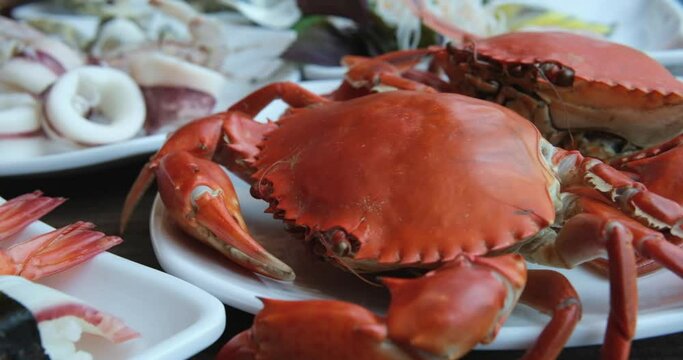 hand hold a delicious hairy crab or chinese mitten crab close up.