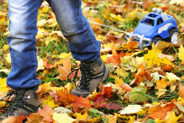 The child is on dry fallen leaves