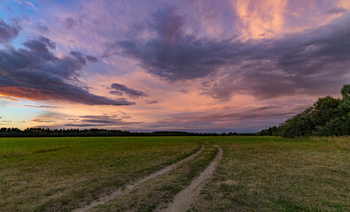 A dirt road winds through a vibrant spring field under an overcast sky, creating a peaceful and picturesque scene.