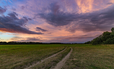 A dirt road winds through a vibrant spring field under an overcast sky, creating a peaceful and...