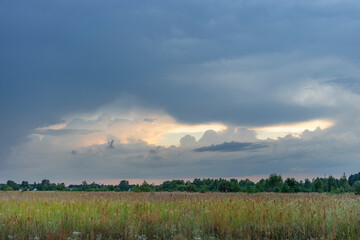 A vast field of golden grass stretches towards a horizon dominated by a dramatic, layered cloud formation.