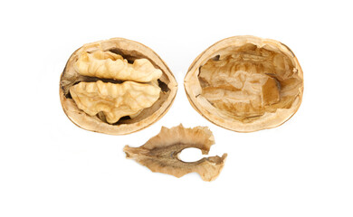 Half of walnut and walnut partition, isolated on white background