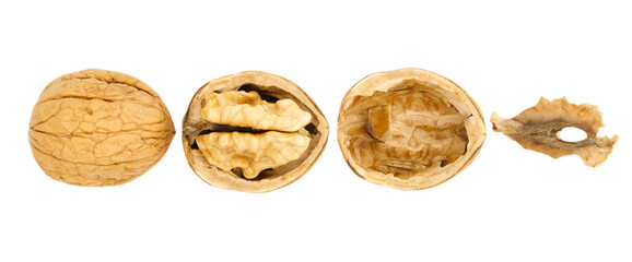 Walnuts, cracked walnut and walnut partition isolated on white background