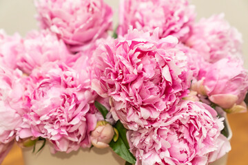 Pink flowers blooming peonies, bouquet.