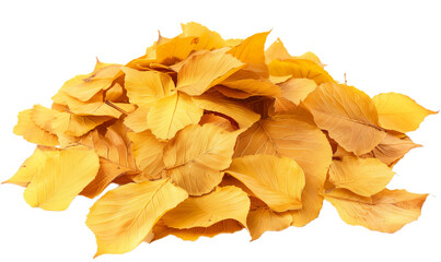 Naklejka premium A group of the yellow dry leaves.