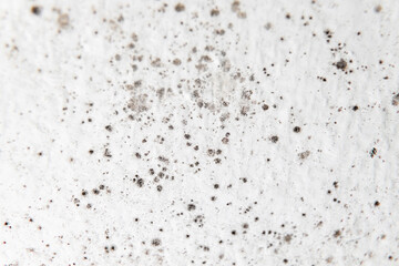Mold on bathroom ceiling - moist indoor environment - Denmark