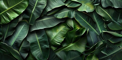 Close up tropical Green leaves texture and abstract wallpaper, Nature concept., dark tone. AI generated illustration